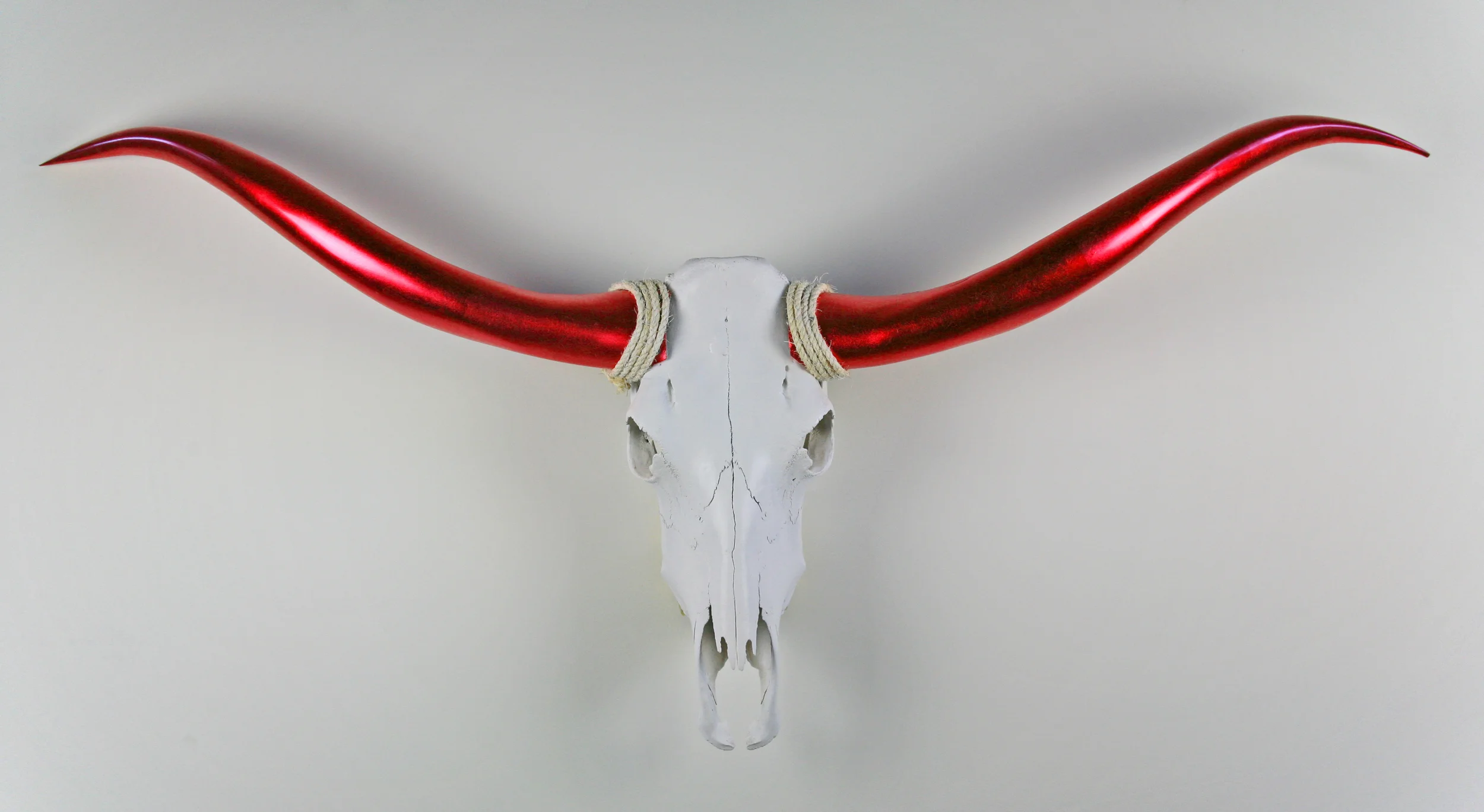 STEER