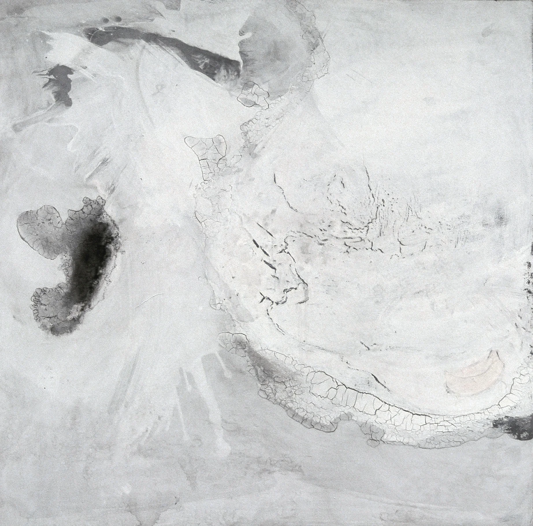 TOPOGRAPHY#11