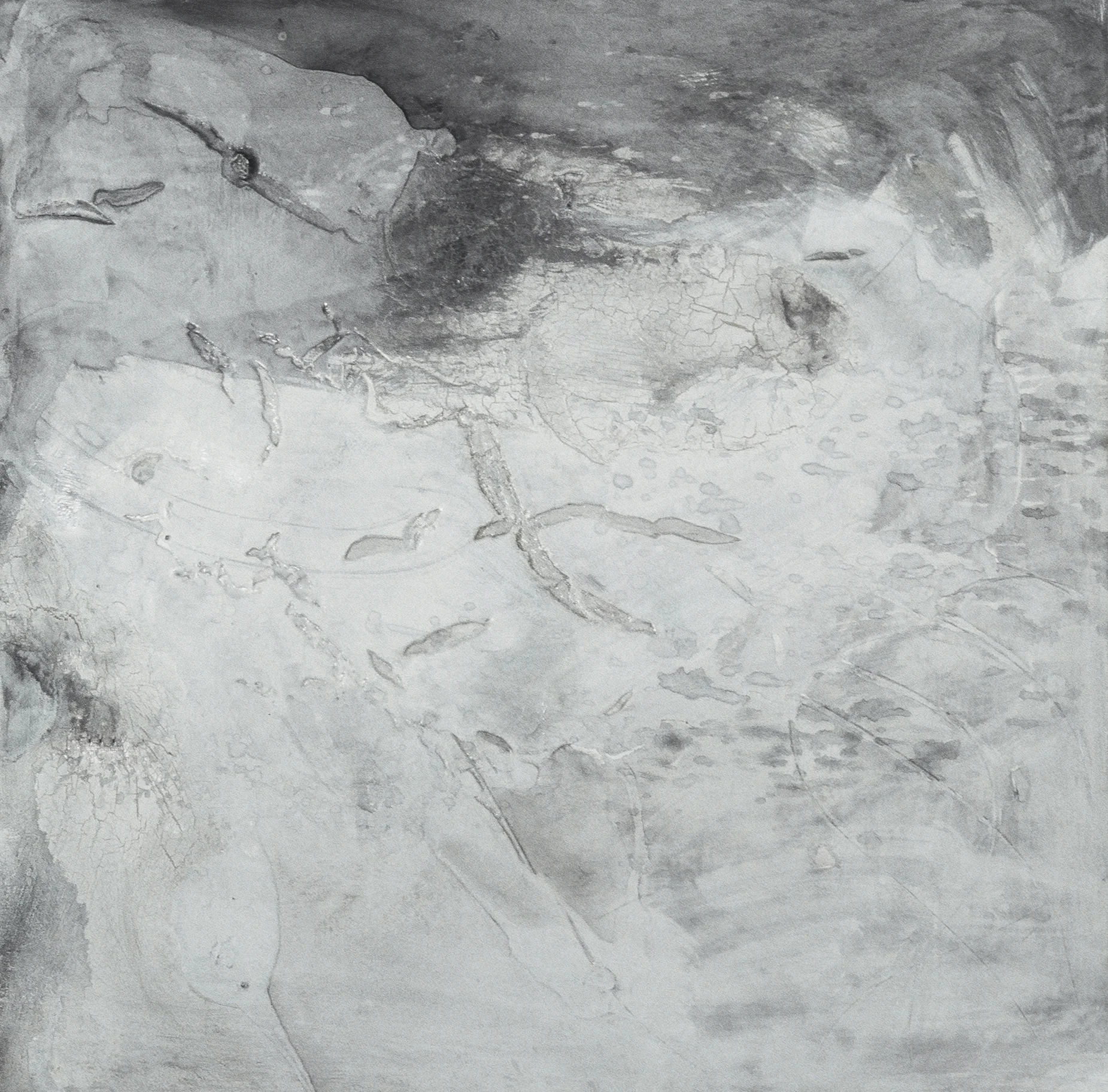 TOPOGRAPHY#19
