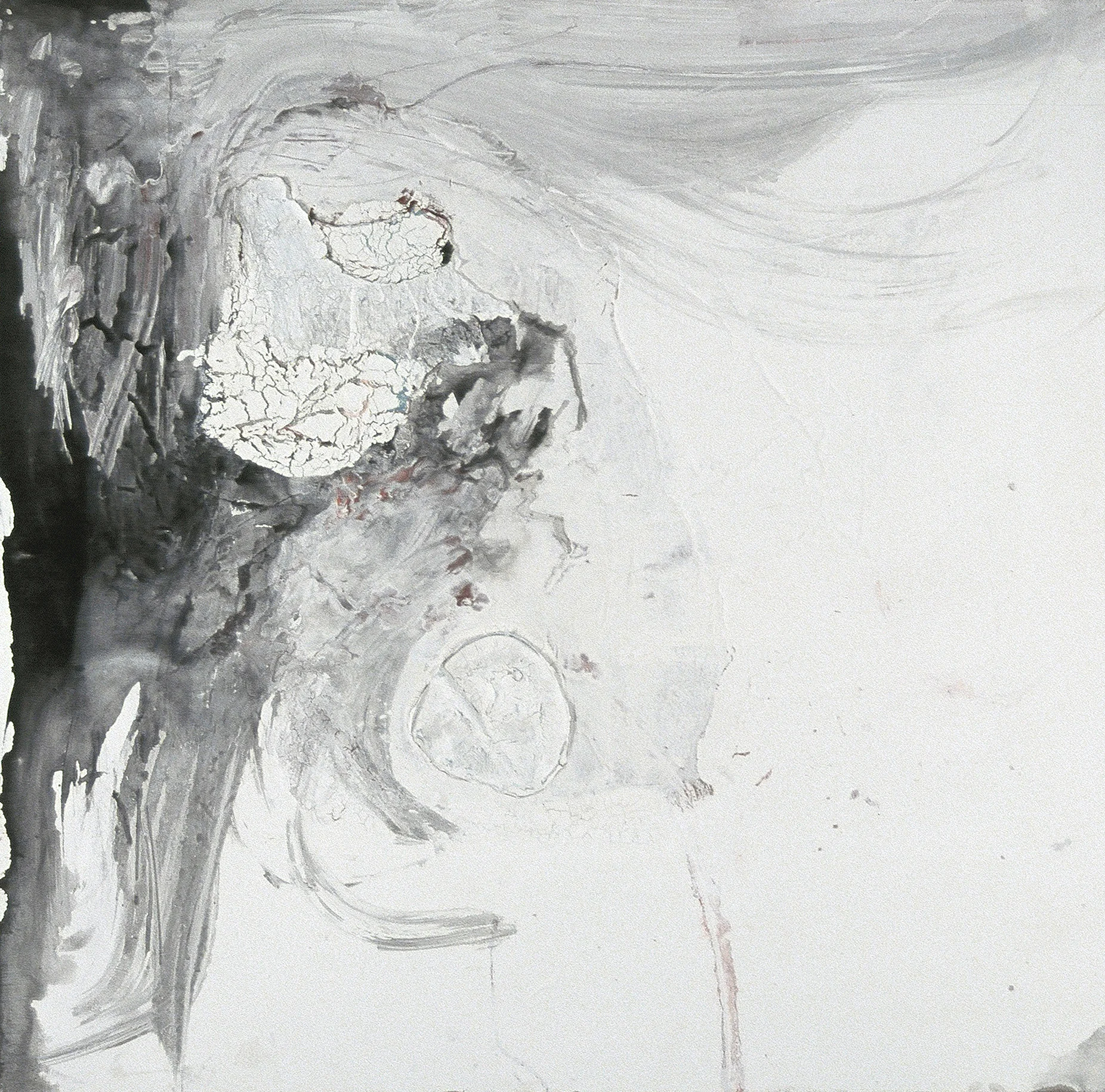 TOPOGRAPHY#25