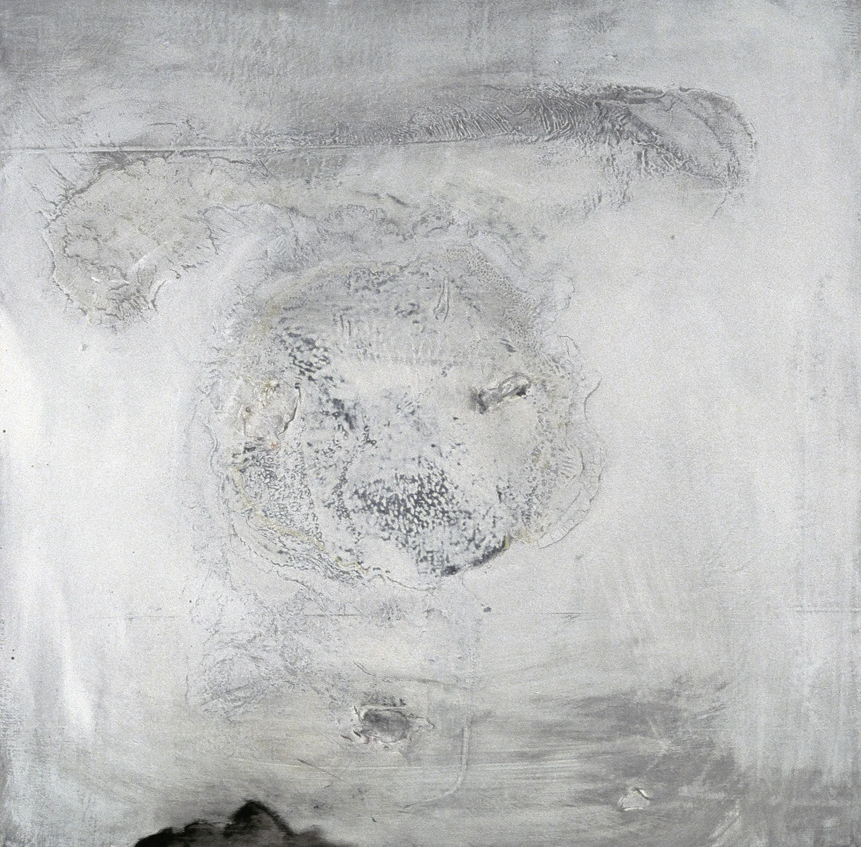 TOPOGRAPHY#30