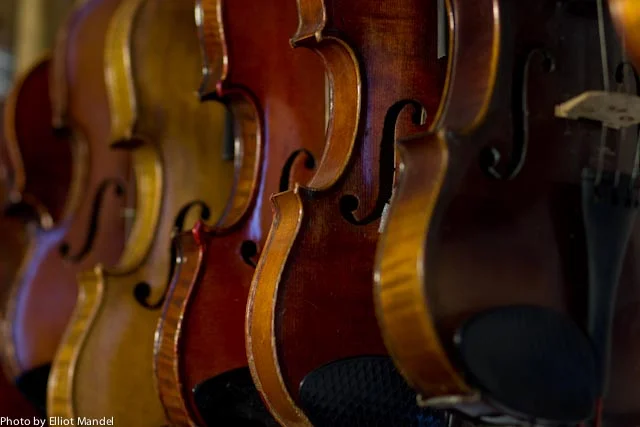 Violins hanging in the Dixon-Stein studio.