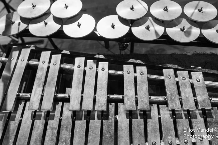 ThirdCoastPerc_11.1.14_by_ElliotMandel-3.jpg