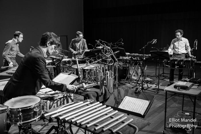 ThirdCoastPerc_11.1.14_by_ElliotMandel-22.jpg