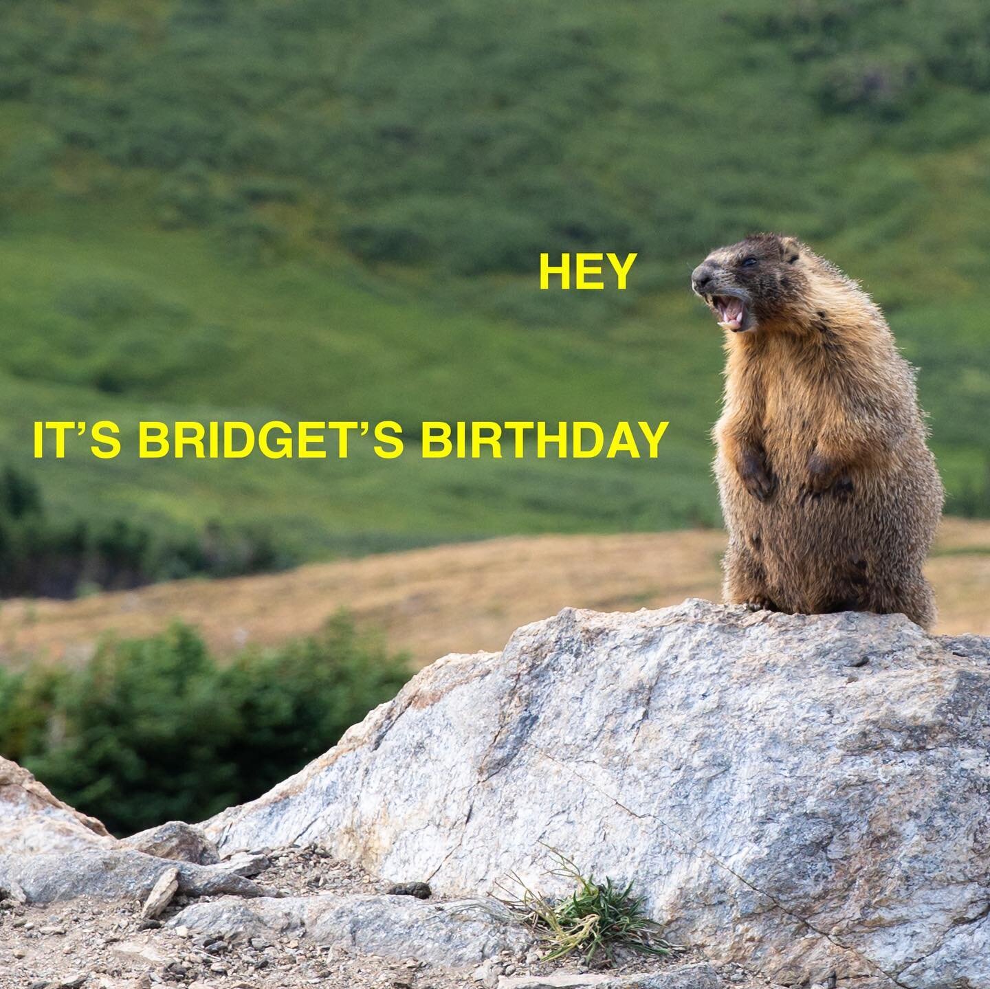 Hey everyone- wish Bridget a happy birthday! 🎉🎉 @bridget.skaggs #marmot