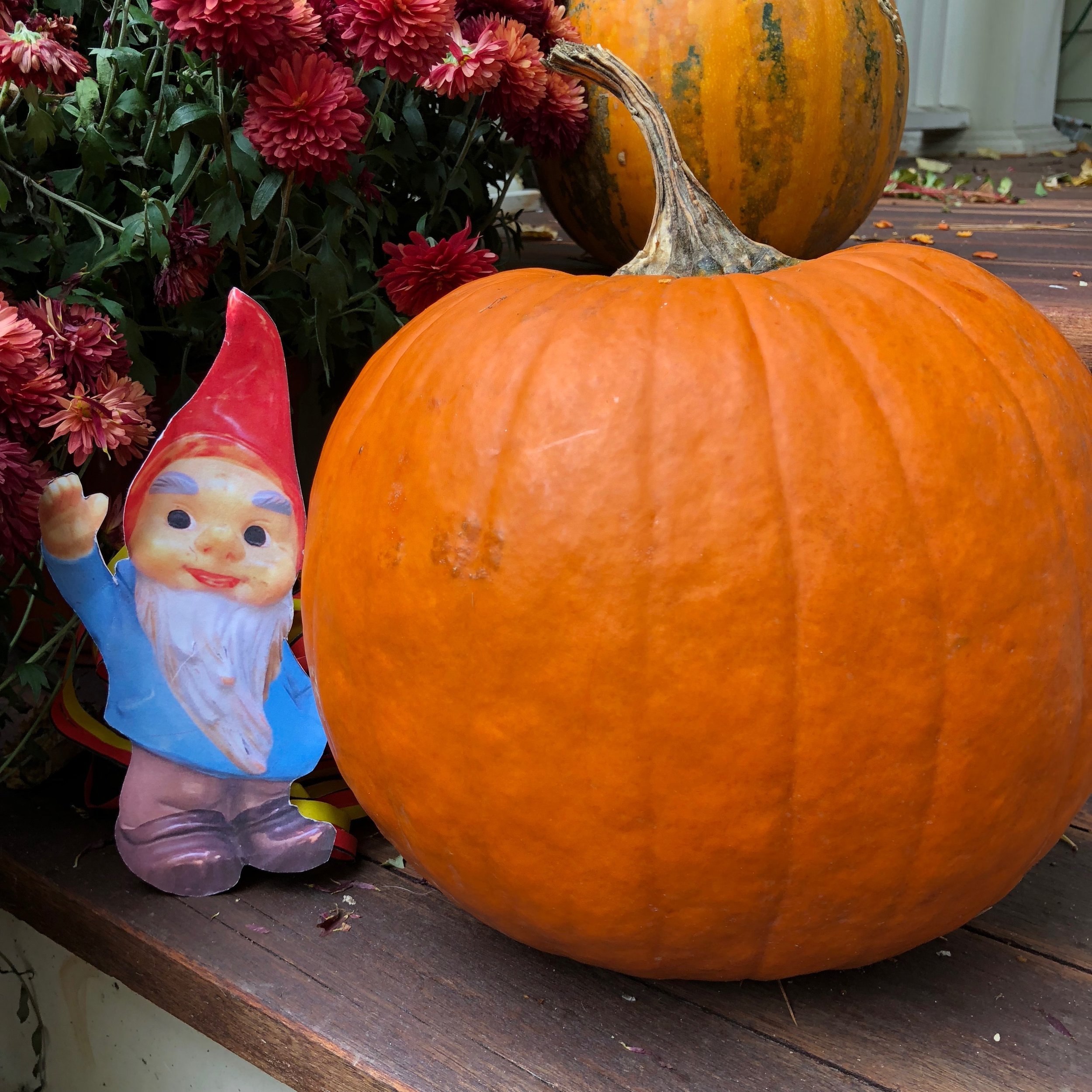 🎃Kürbis Carving Contest