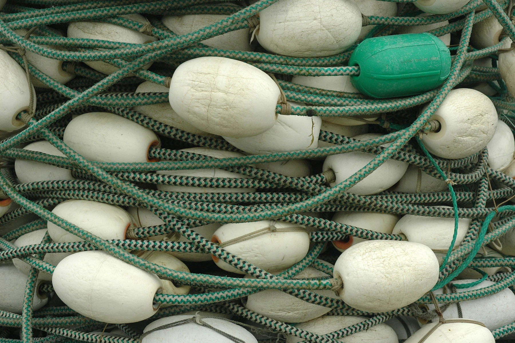 Buoys.jpg