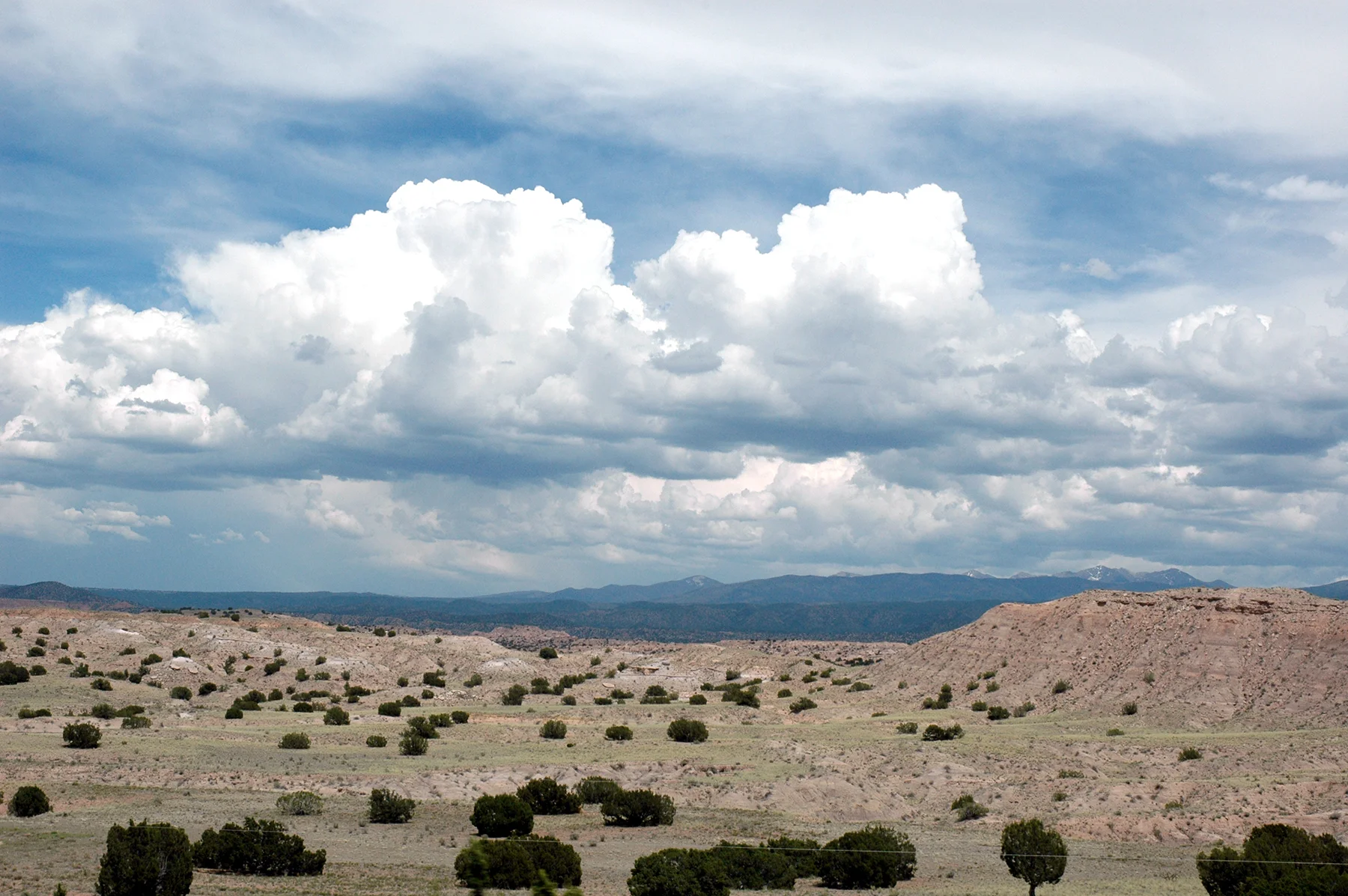 NM-Desert.jpg