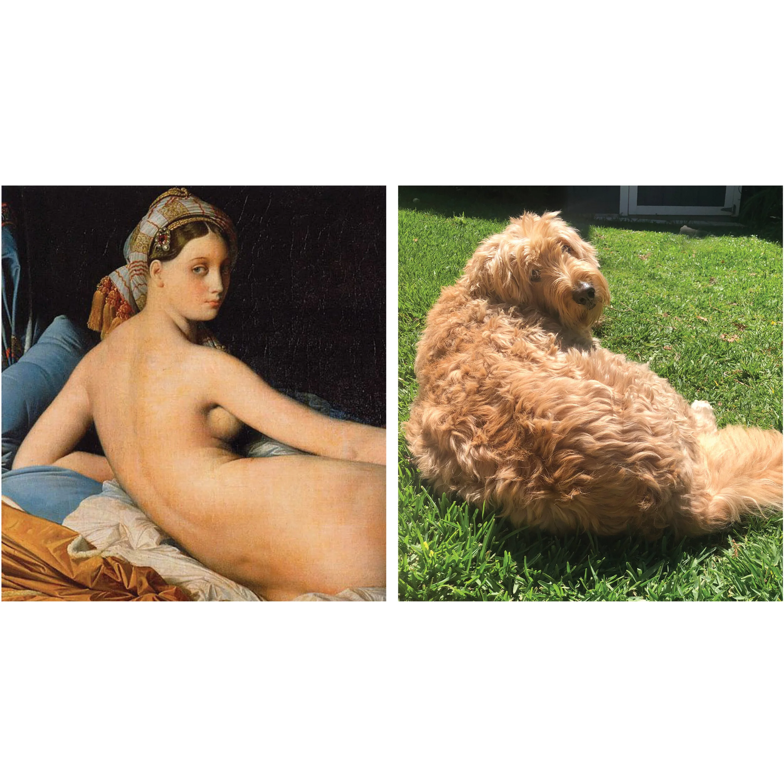 Maggie-Getty.jpg