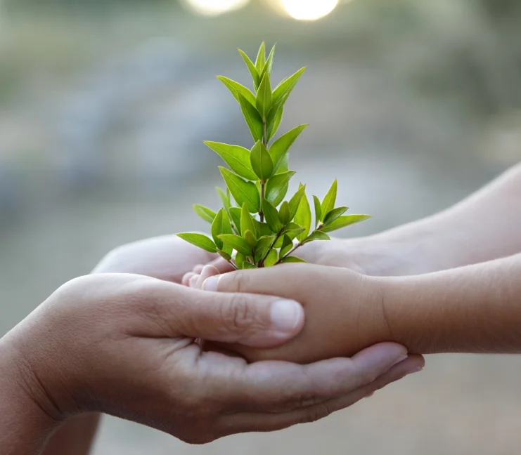 hand-tree-parent.jpg