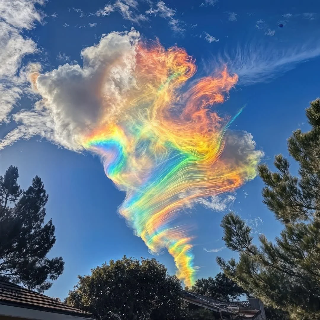 Where Grief Meets Breath 