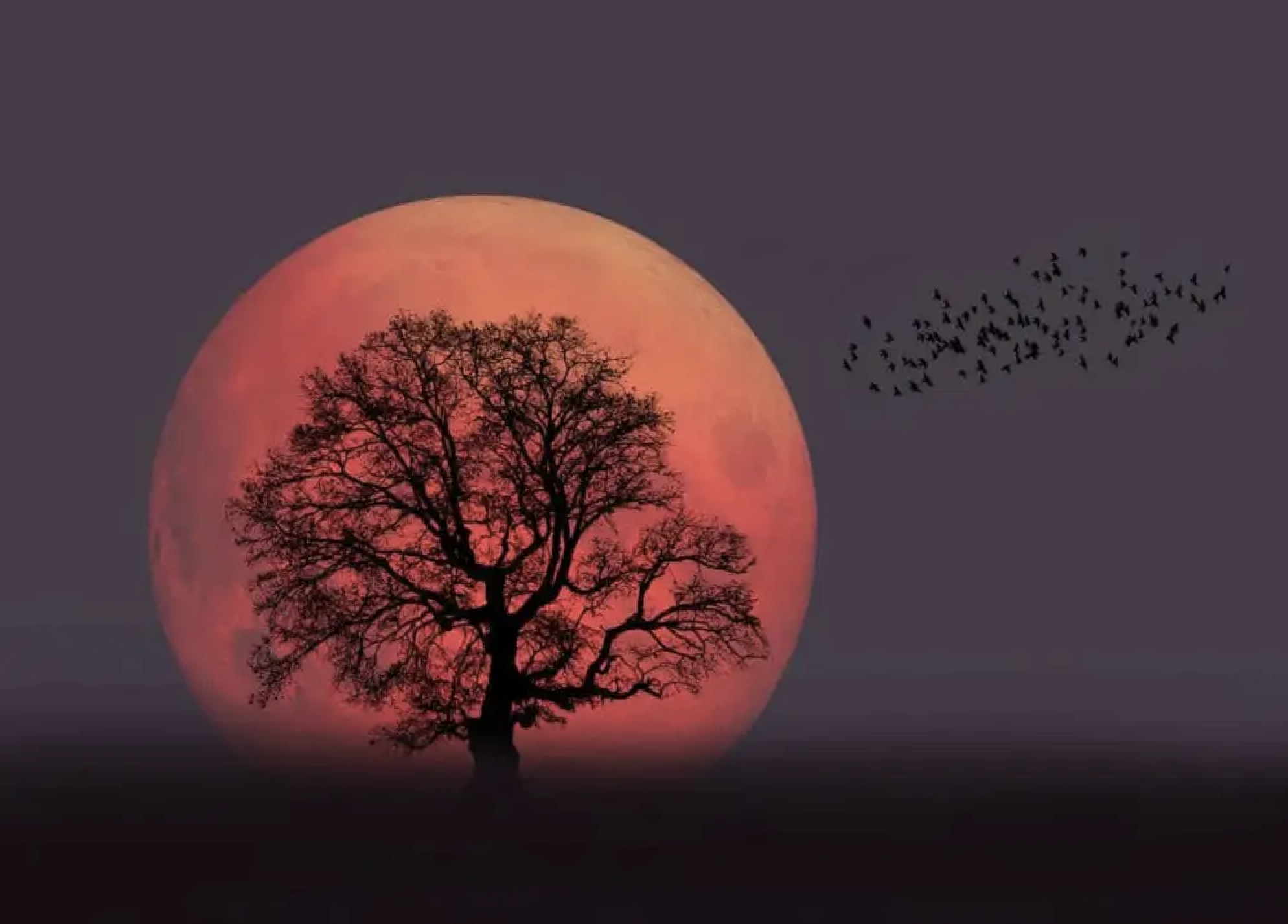 Halloween Night Sound Journey: Connecting with Spirit