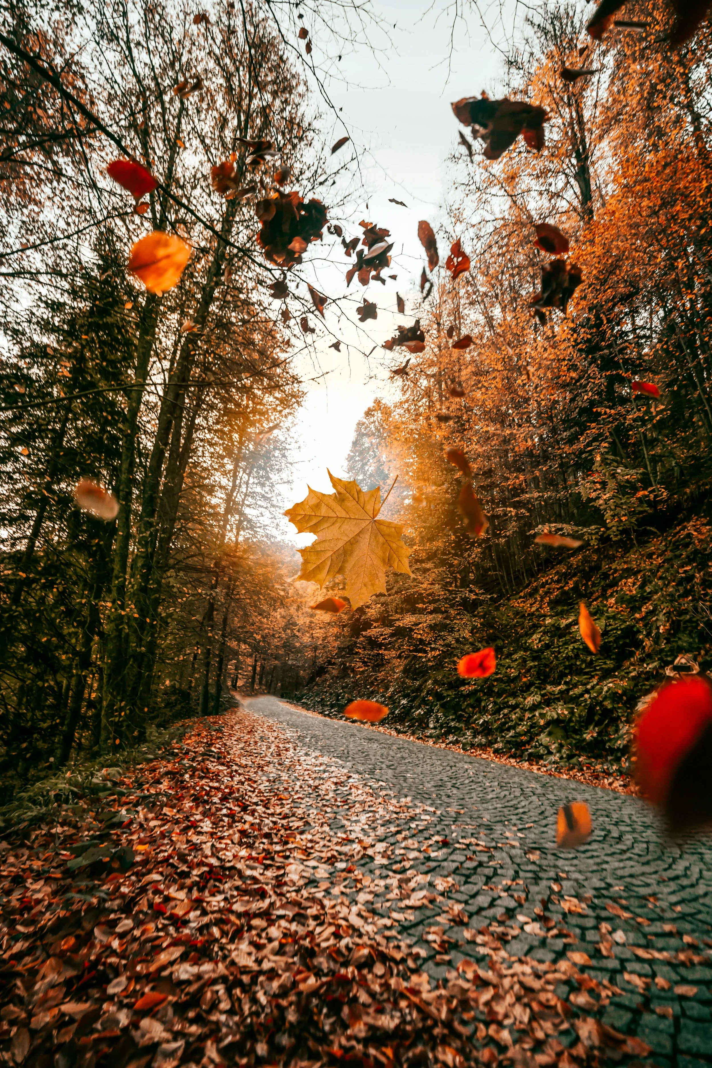  SOLD OUT Fall Ayurveda Retreat: The Spirit of Ayurvedic Living 