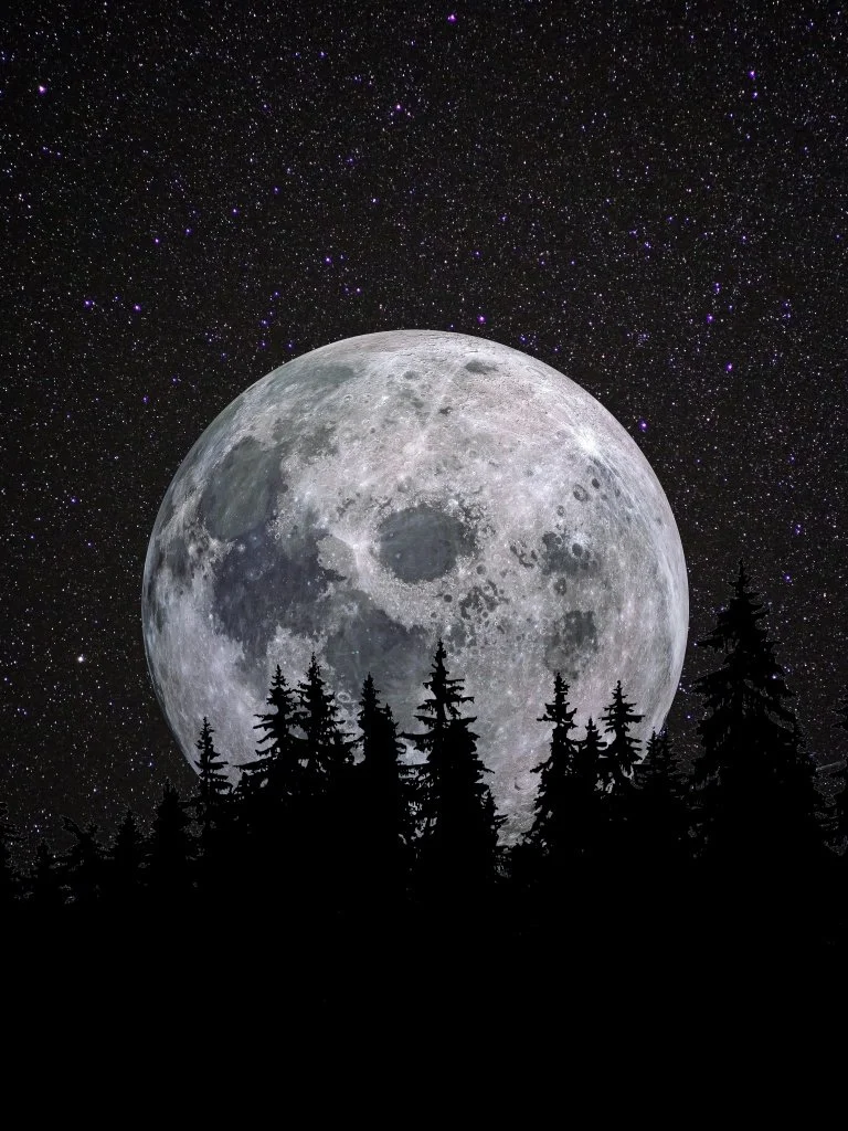 Full Moon Yoga, Meditation and Reiki Drumming
