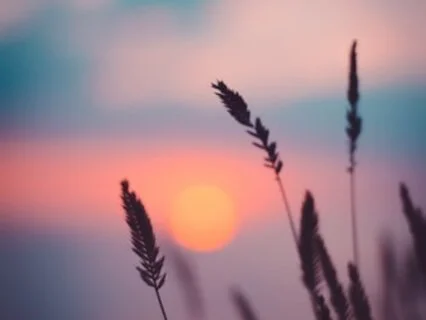 Gathering the Wild: A Grounded Walk in Webster Groves