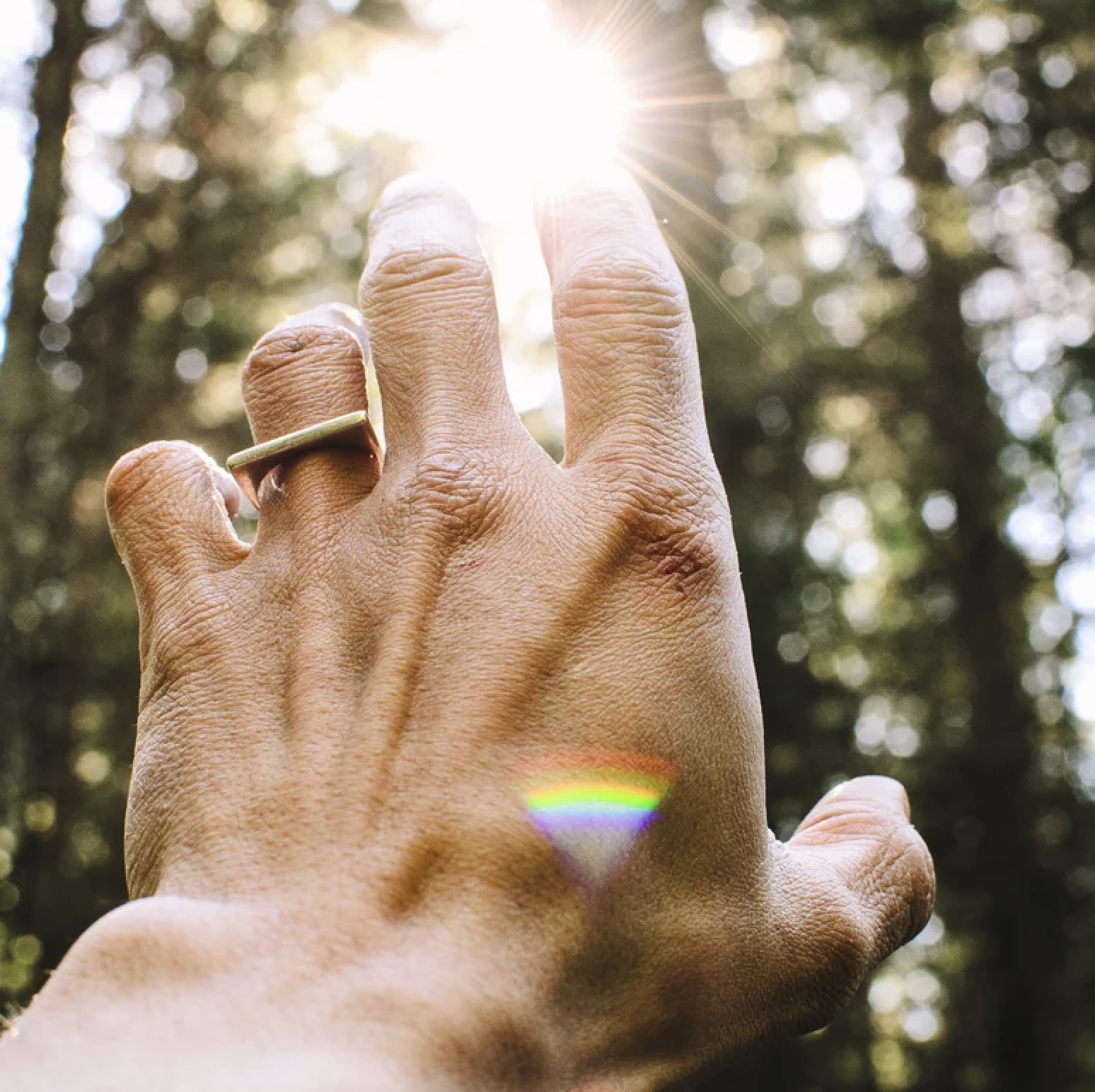 Reiki Share