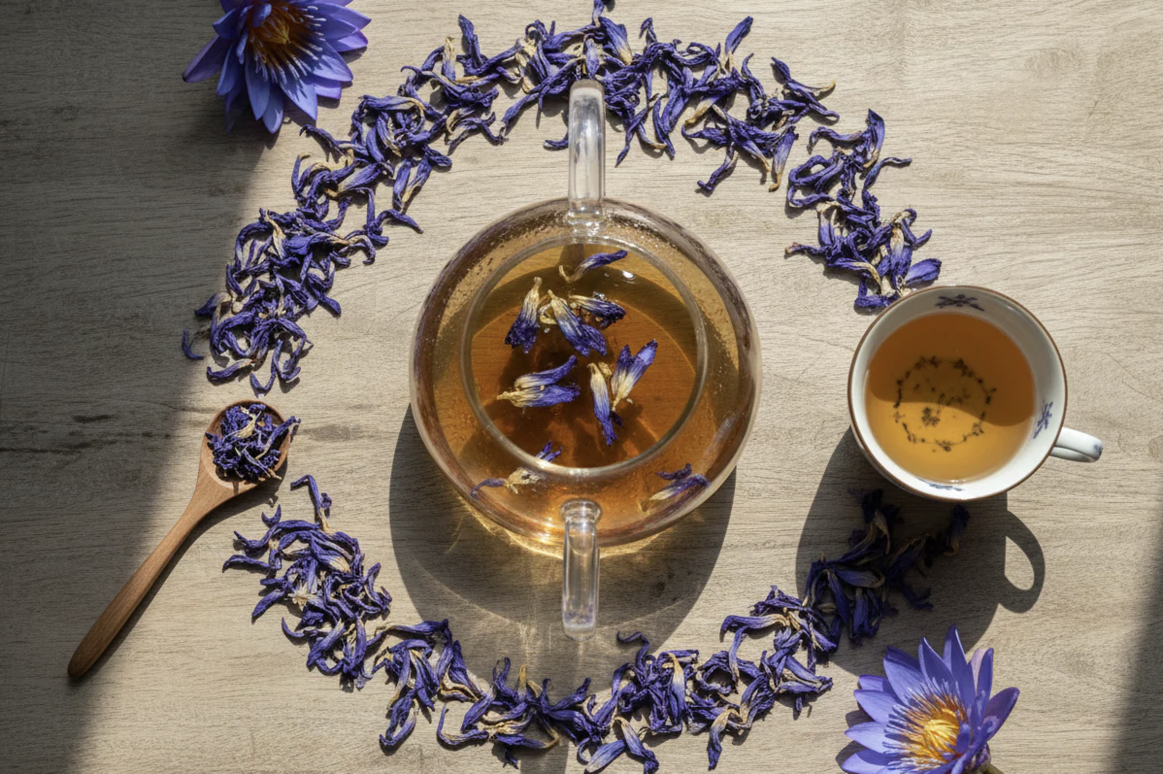 Blue Lotus Tea Ceremony: An Evening of Intuition, Feminine Wisdom & Deep Rest