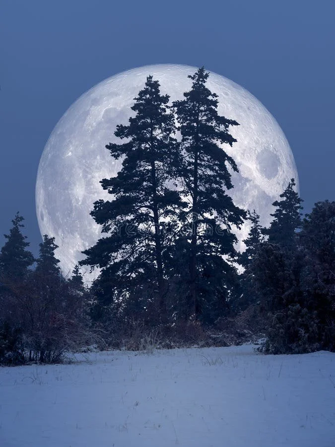 Full Moon Yoga, Meditation &amp; Reiki Drumming