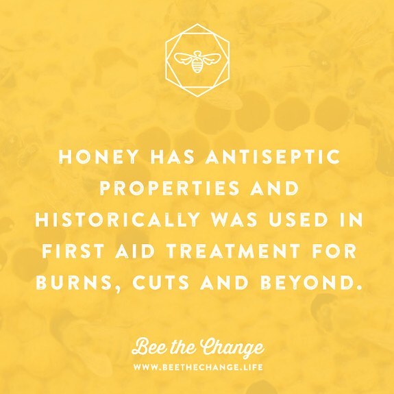 Did you know that honey has antiseptic properties and historically was used as a first aid treatment for dressing wounds, burns and cuts? 🍯✨The amazing healing properties of honey are due to its antibacterial activity&mdash;it also maintains a moist