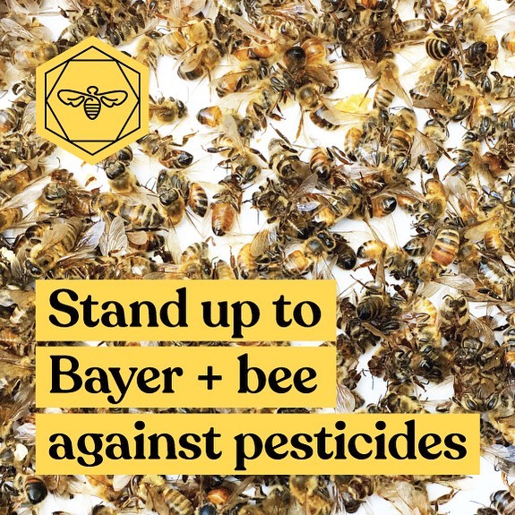 Hi Friends! We took a break from social, but we are back and wanted to shed light on a major issue that is attempting to be hidden by one of the largest &ldquo;big-pharma&rdquo; corporations in existence&mdash;known as Bayer (or the creators of Aspir