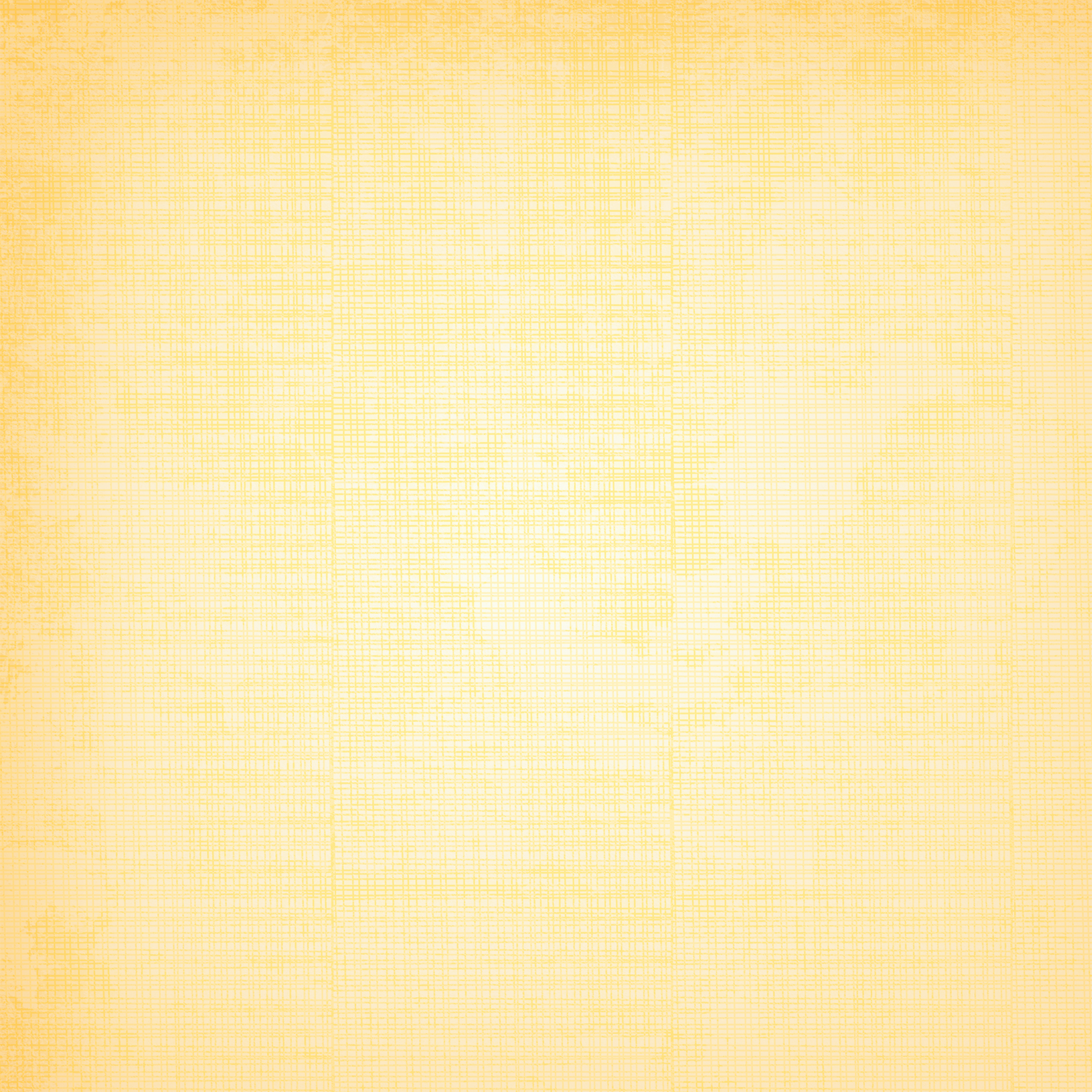 Cheese Cloth