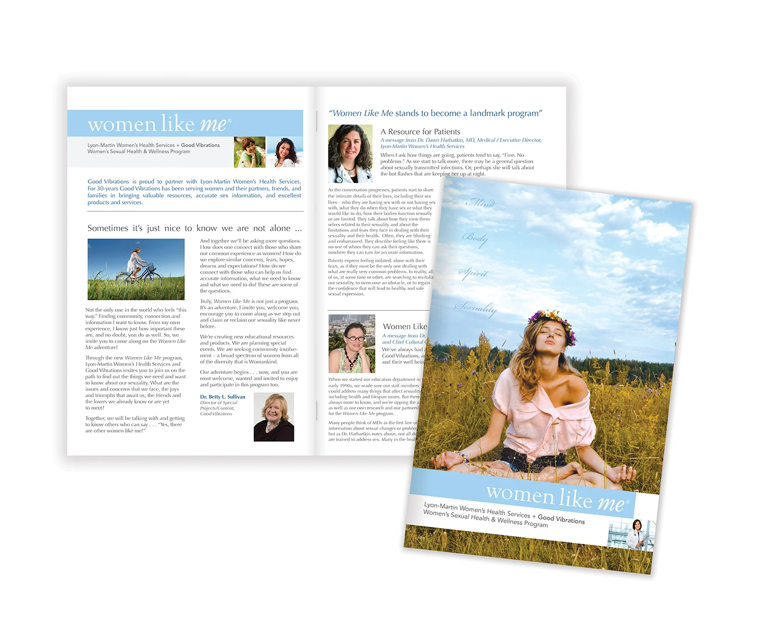 Niche Marketing, Lyon-Martin Women's Health Services Brochure
