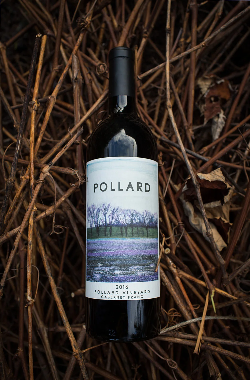 PollardCabFranc.jpg