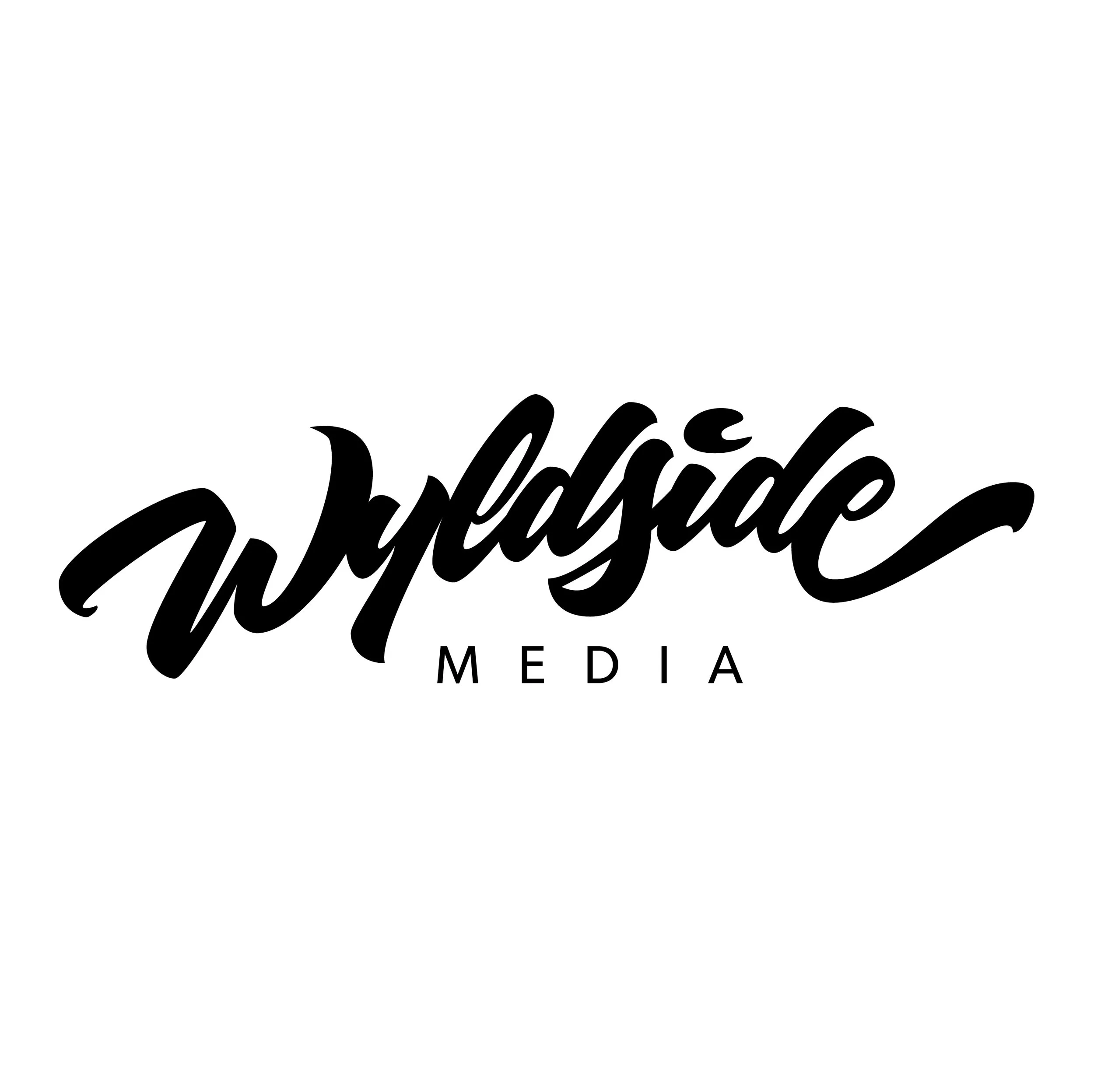 Wyldside Media - thumb.jpg
