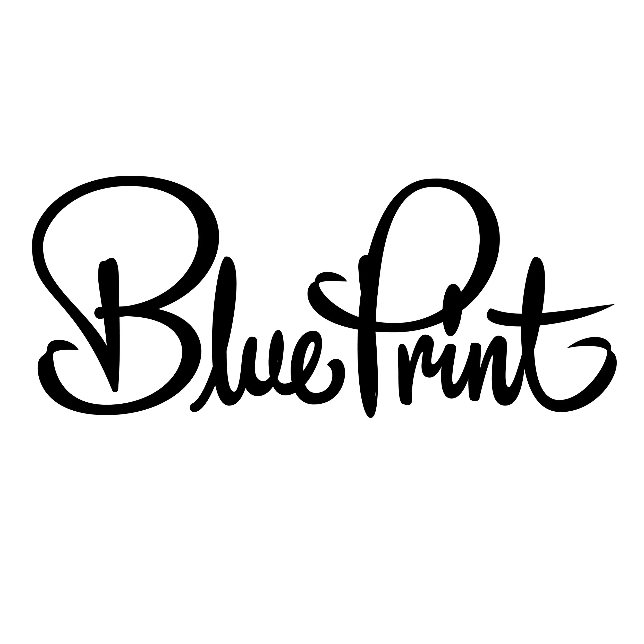 BluePrint-Logo-01.jpg