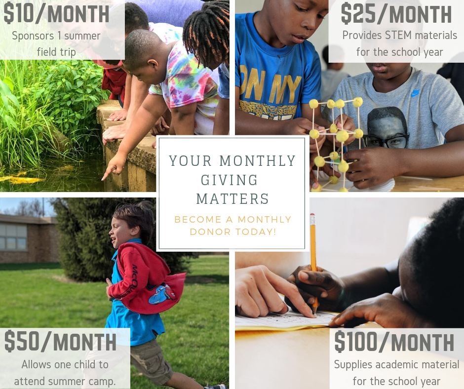 Monthly Donor Giving Levels 2019 .png