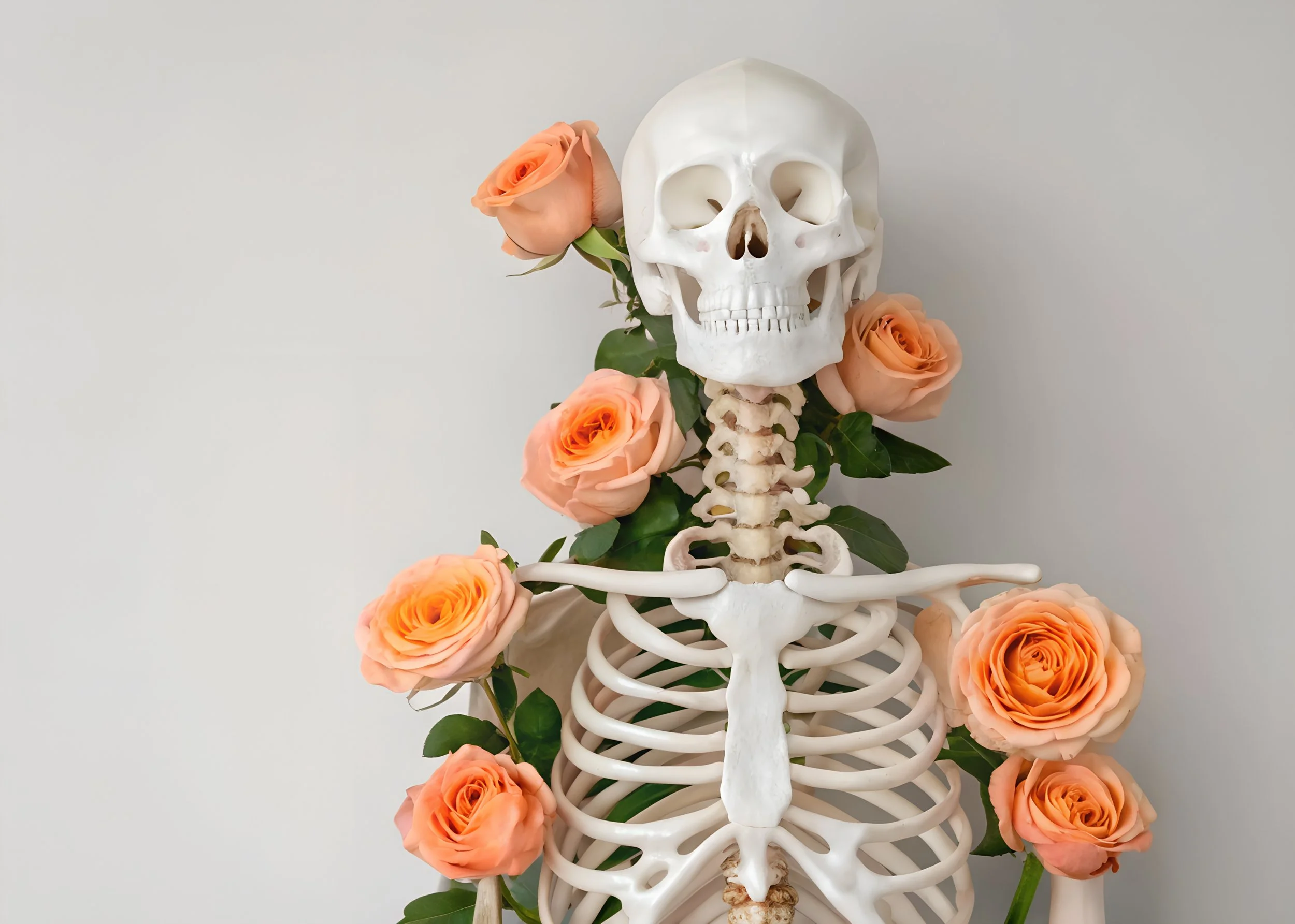 vecteezy_anatomical-skeleton-adorned-with-peach-roses-against-white_71259843.jpg