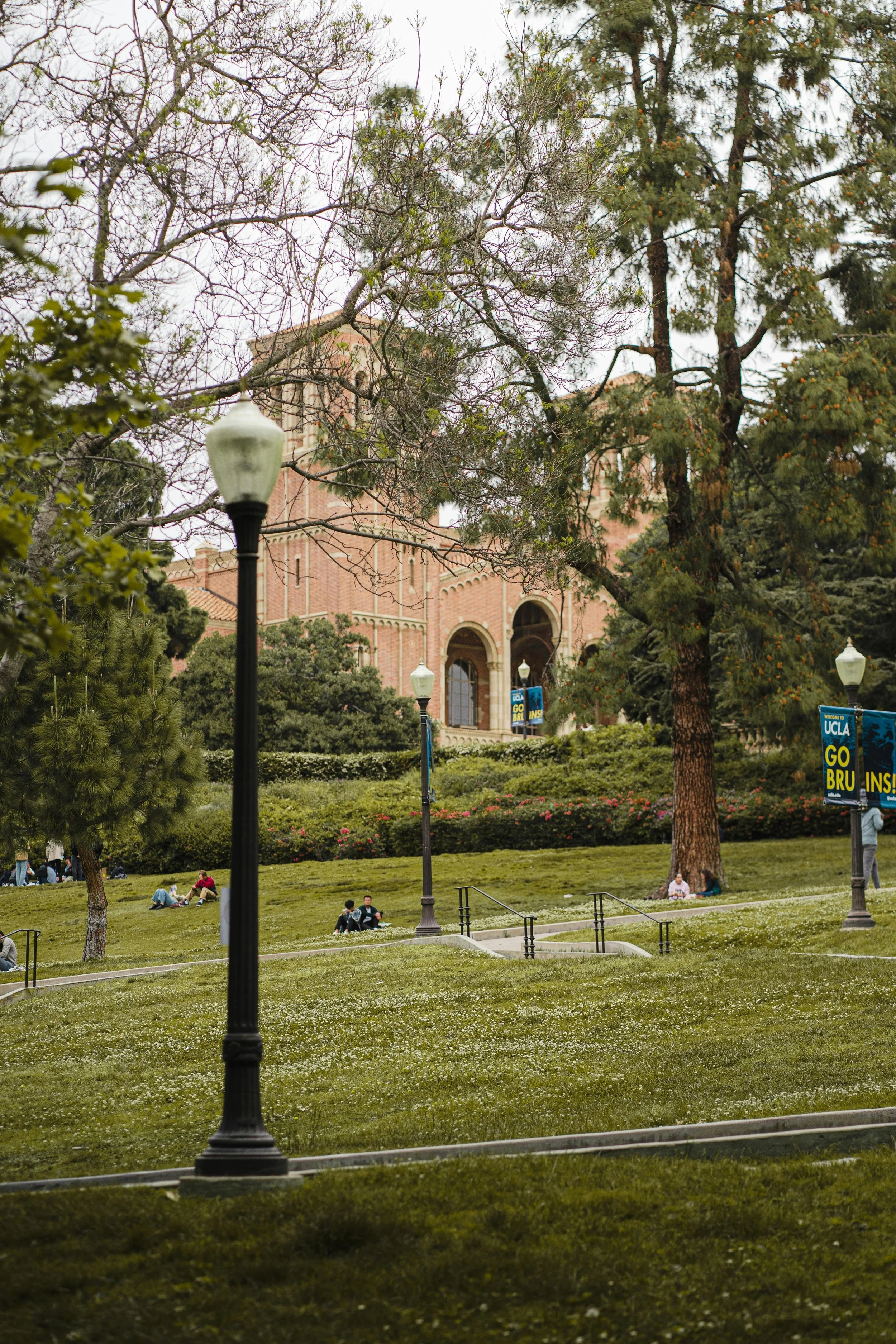 Hourly Consultations for Admissions or Essay Coaching