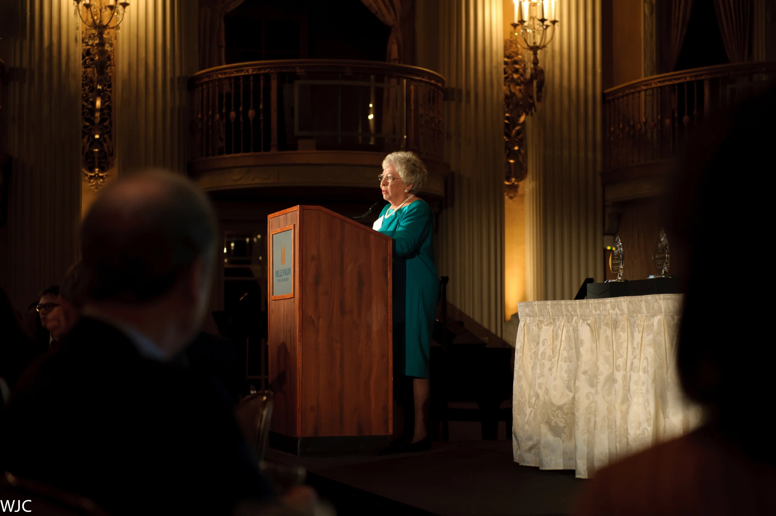 2011 Gala (119).jpg