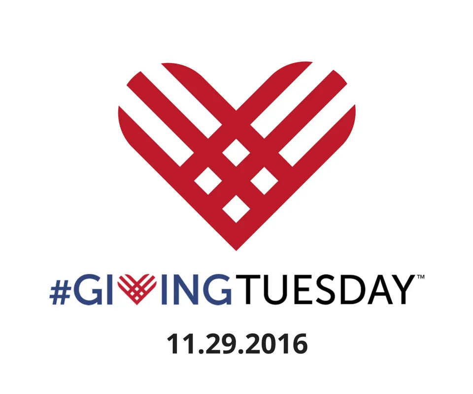 On #GivingTuesday, Join us to Stop Homophobic Bullying