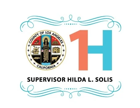HLS-1H Logo.png