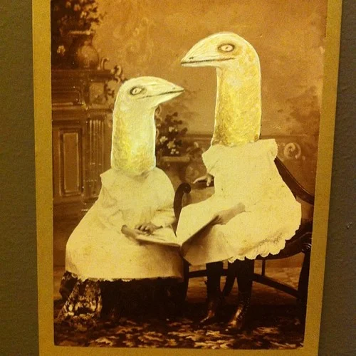twins.jpg