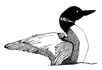 Legal Organizations Online Network: LOON