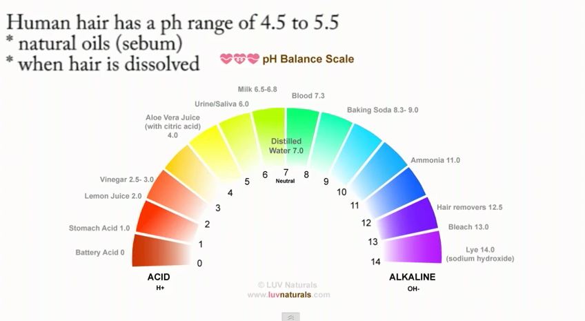 perfect scale.jpeg