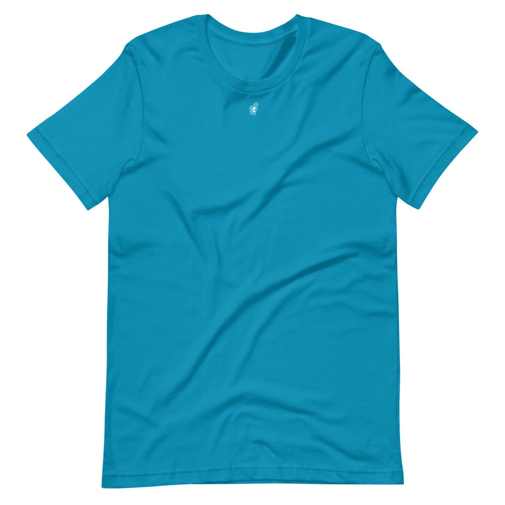 unisex-premium-t-shirt-aqua-front-60a6aa5ccd347.jpg