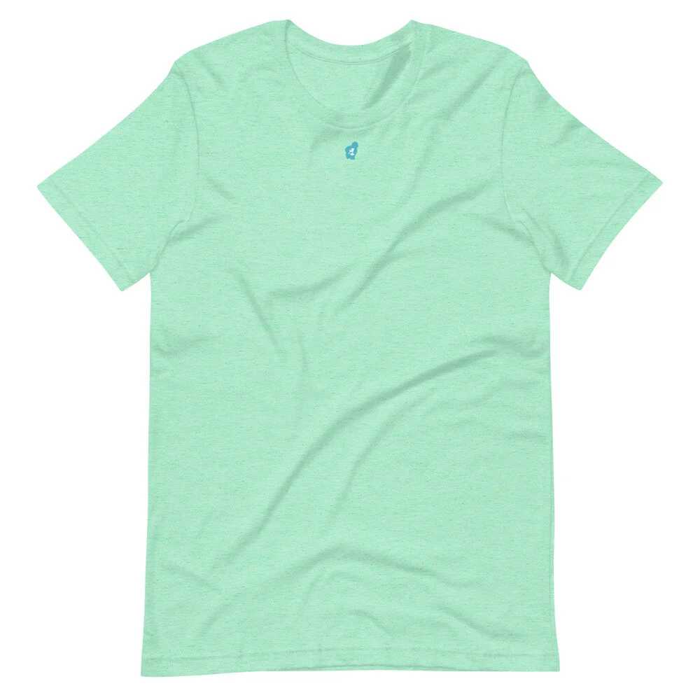 unisex-premium-t-shirt-heather-mint-front-60a6aa5cd736a.jpg