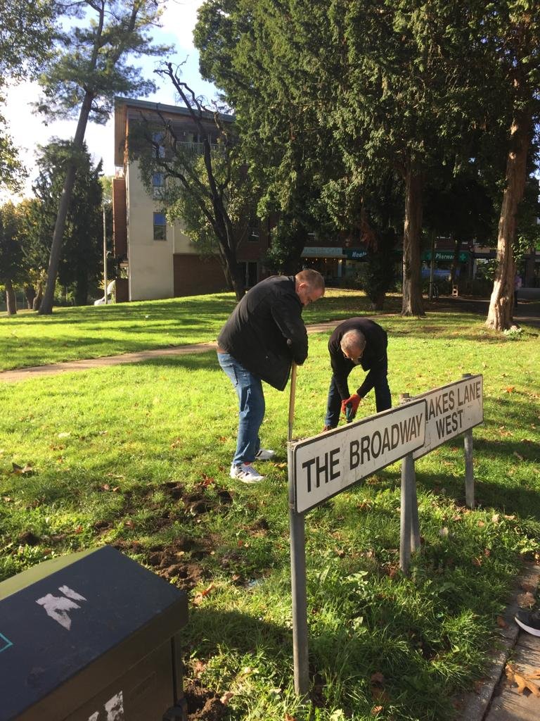  Daffodil bulb planting October 2023 