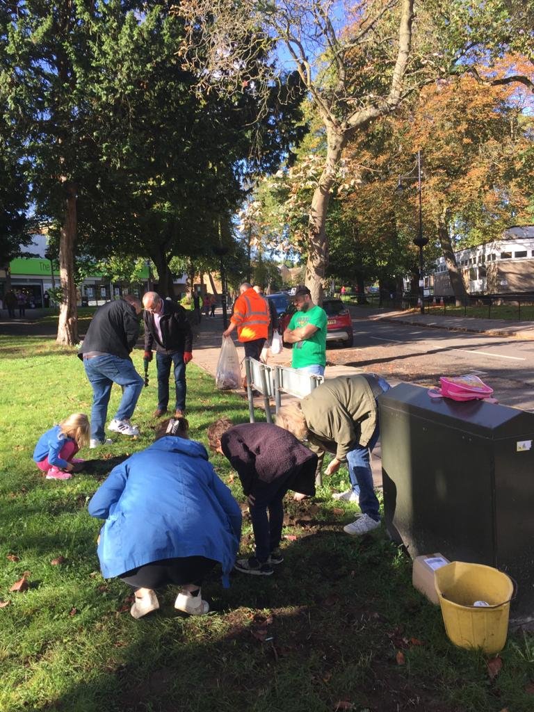  Daffodil bulb planting October 2023 