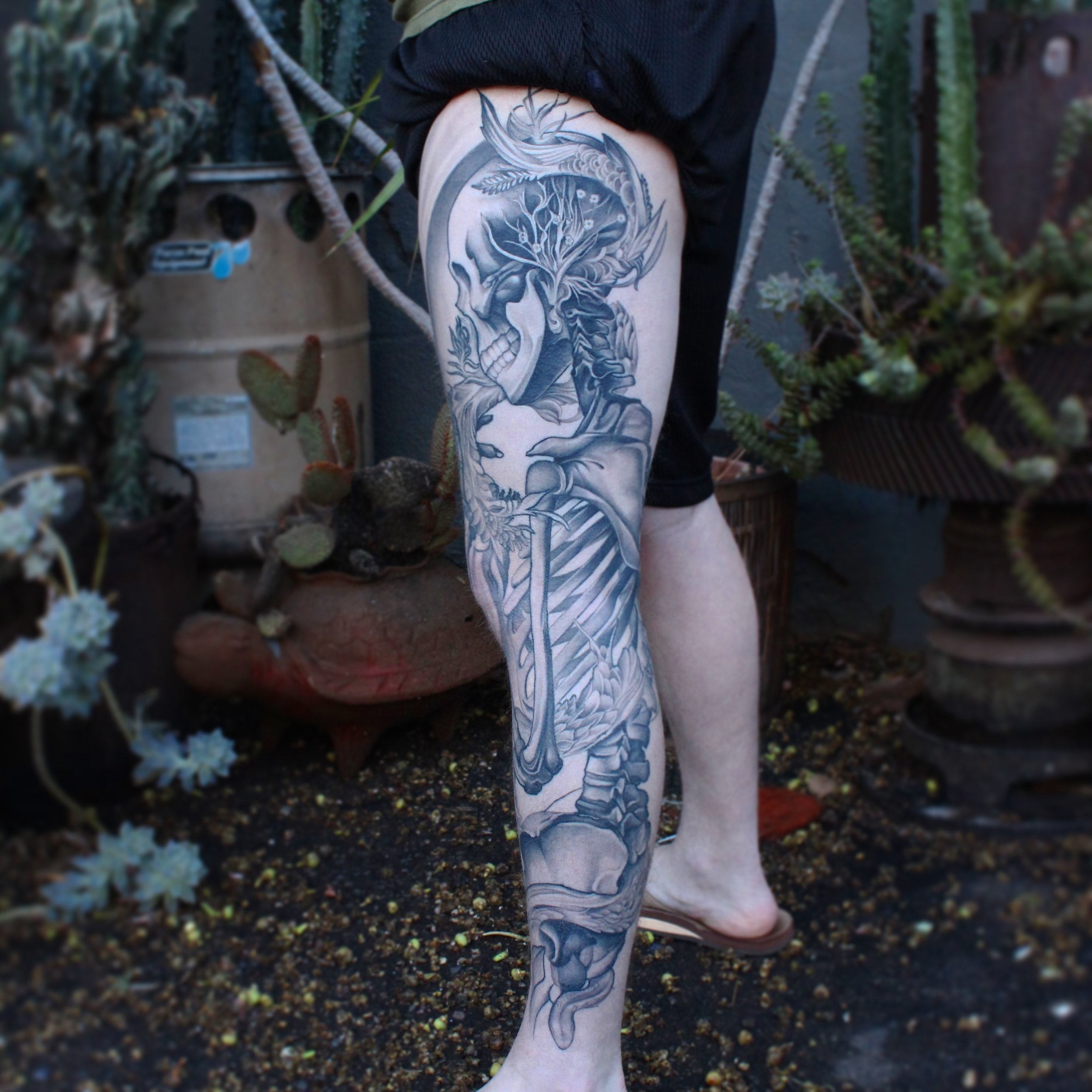 legsleeve-skeleton-2.jpg