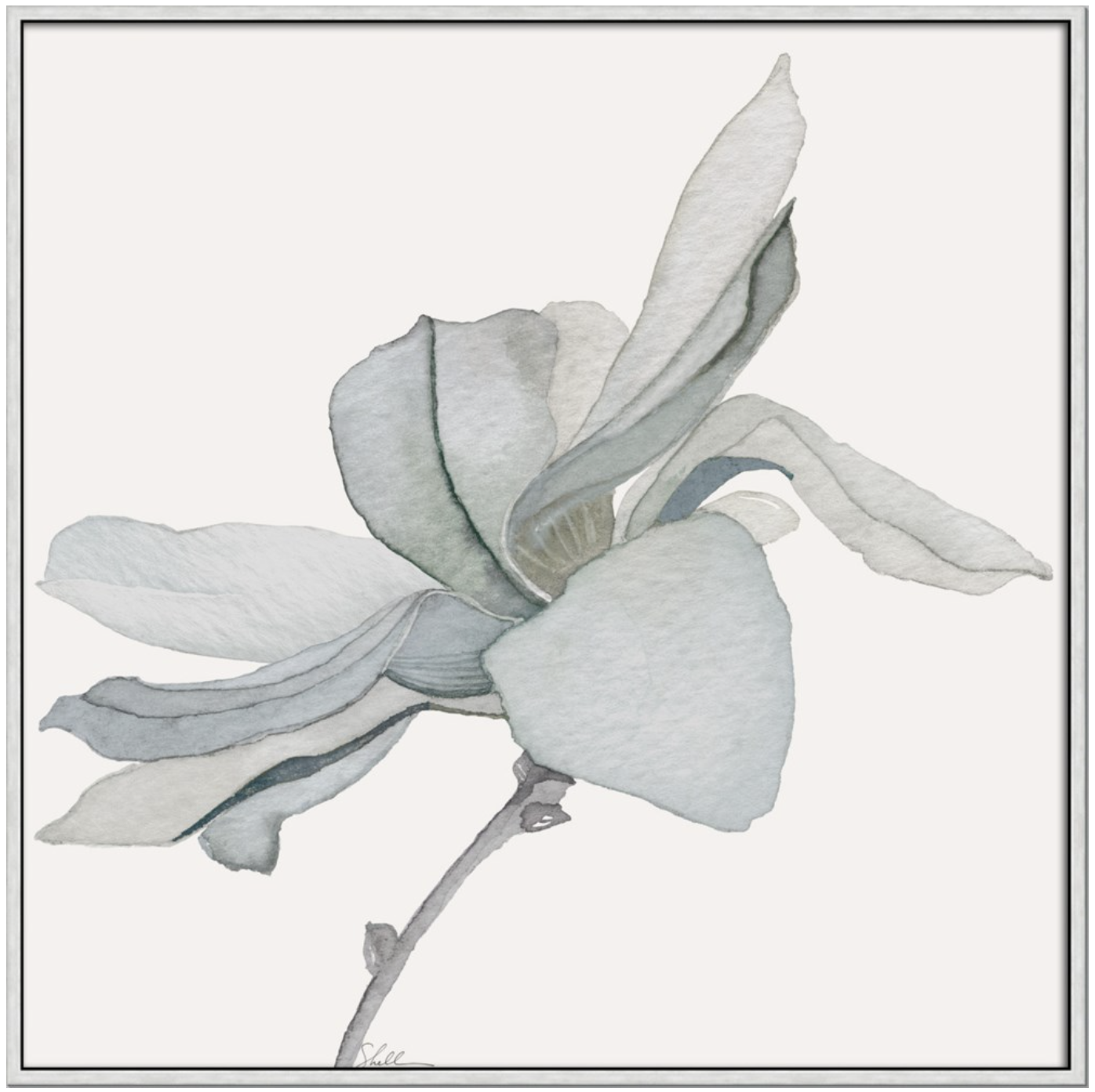 Magnolia Grace Framed, 37 3/4” x 37 3/4”, Artwork is printed on canvas. Professionally framed in a  5/8 x1  1/2” Silver/ black Float frame