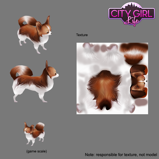 Papillon texture, City Girl Life