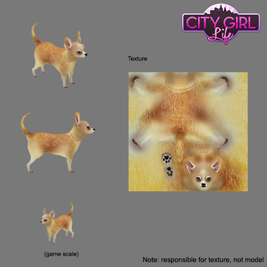 Chihuahua texture, City Girl Life