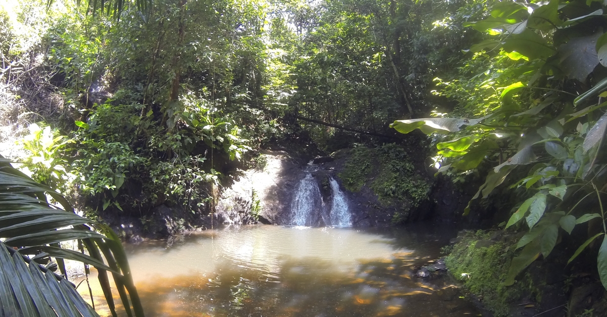 Waterfall in the Jungle.
