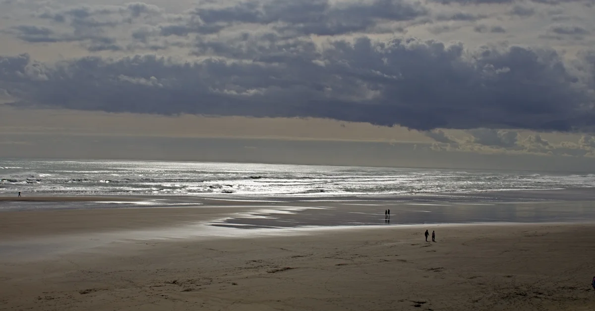Muriwai Beach