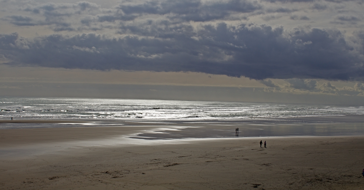 Muriwai Beach