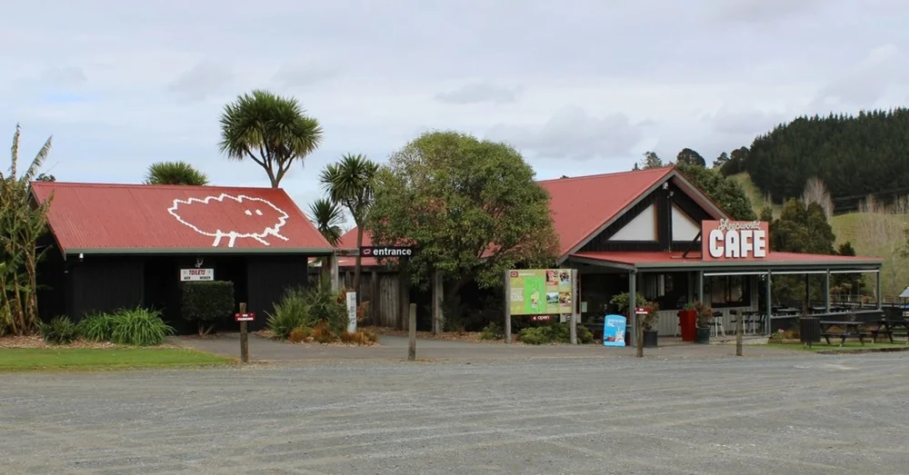 When in New Zealand, One Must Shear Sheep